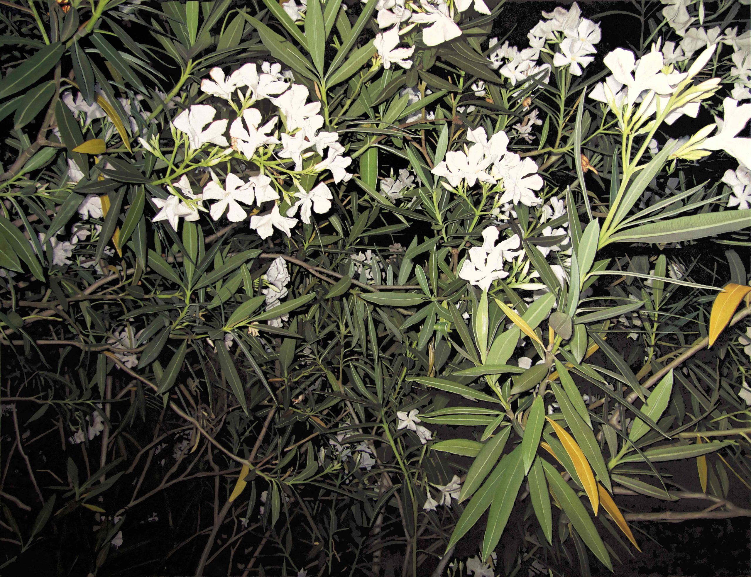 GORGEART - Balade (Vendue)