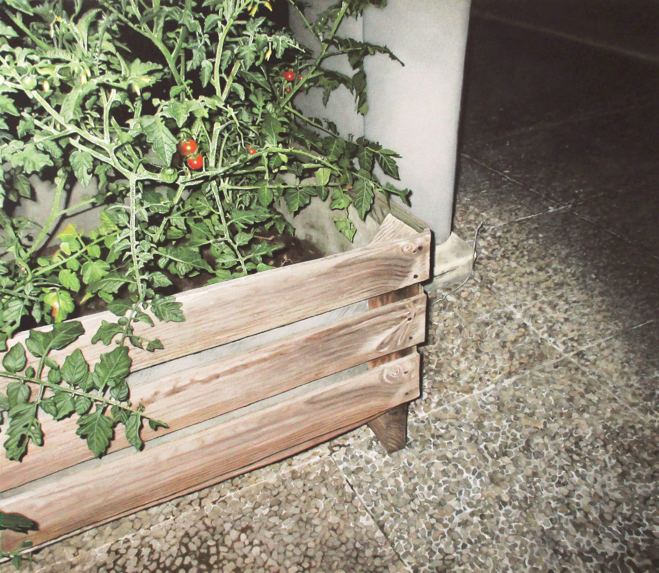 GORGEART - HorsChamp (Vendue)