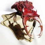 BENENATI – Art Arthropode