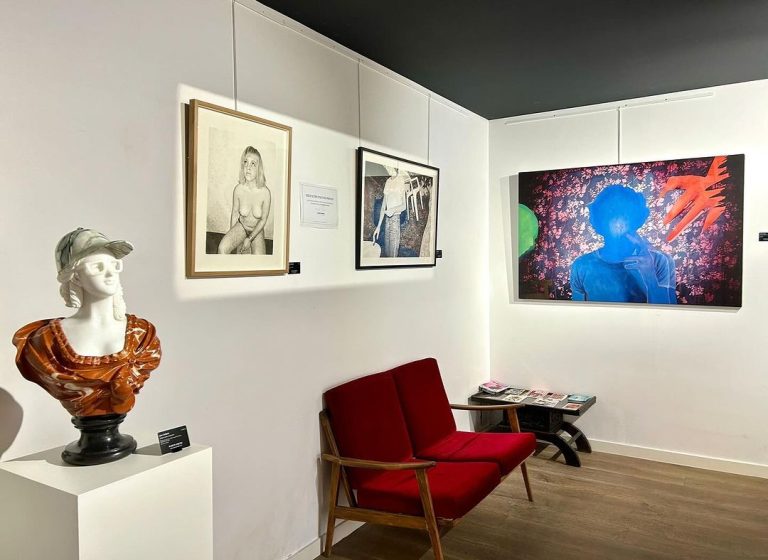 CAILLARD Hipster Marie Antoinette IAV Angers (2)