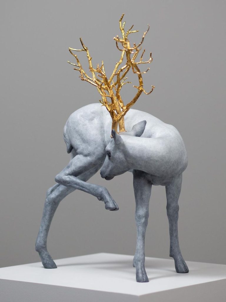 Coderch & Malavia – Forest Guardian