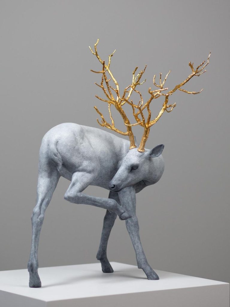 Coderch & Malavia – Forest Guardian