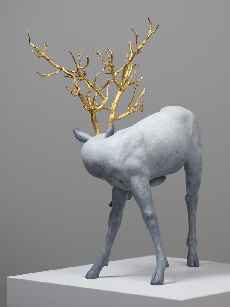 Coderch & Malavia – Forest Guardian