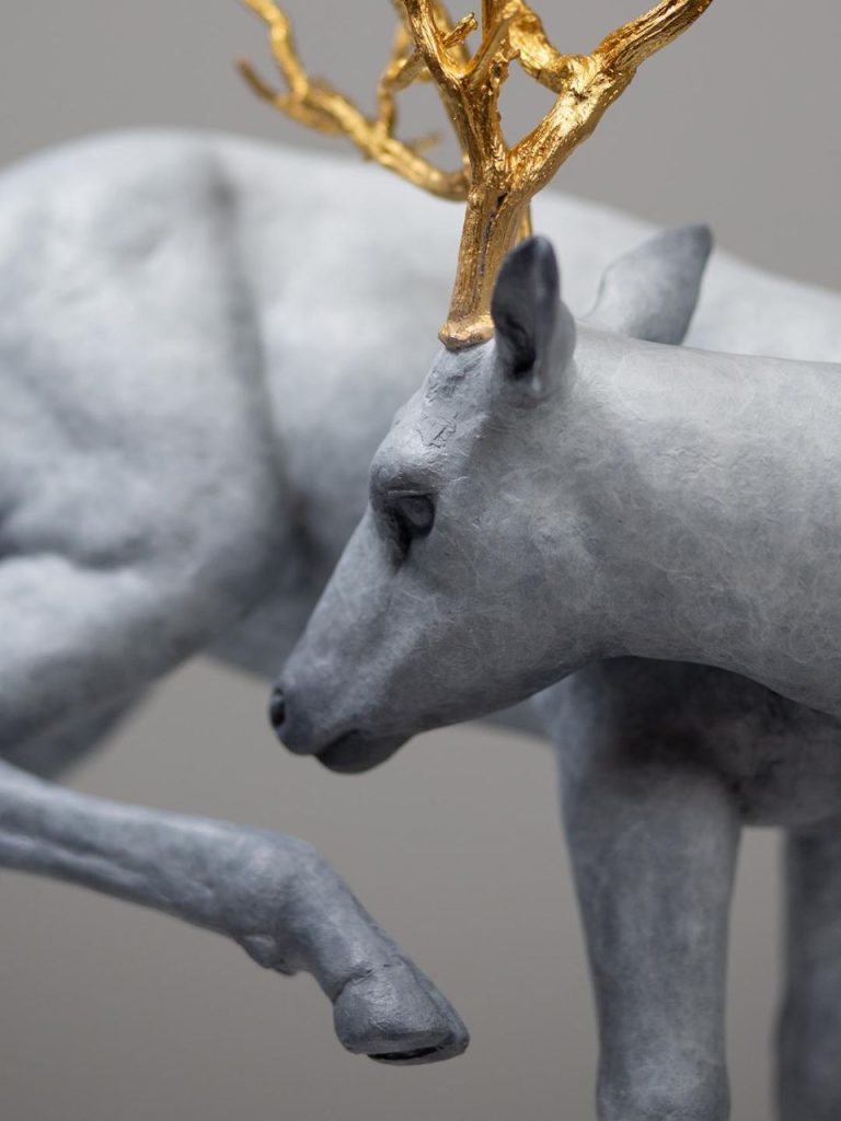 Coderch & Malavia – Forest Guardian