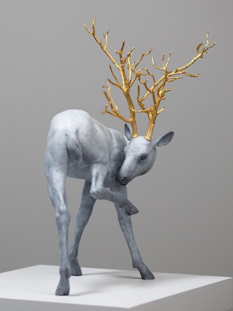 Coderch & Malavia – Forest Guardian