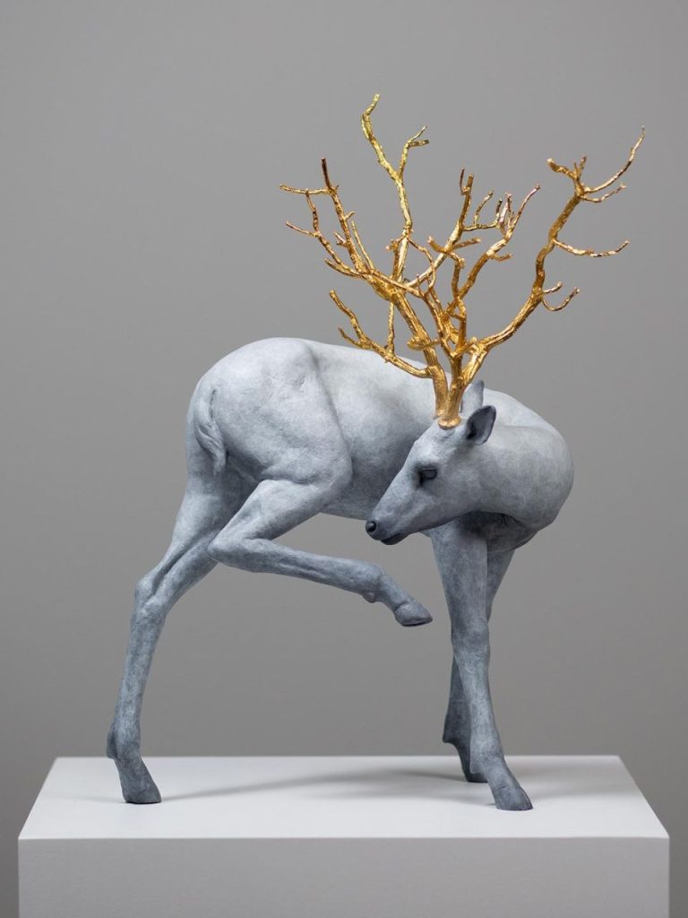 Coderch & Malavia – Forest Guardian