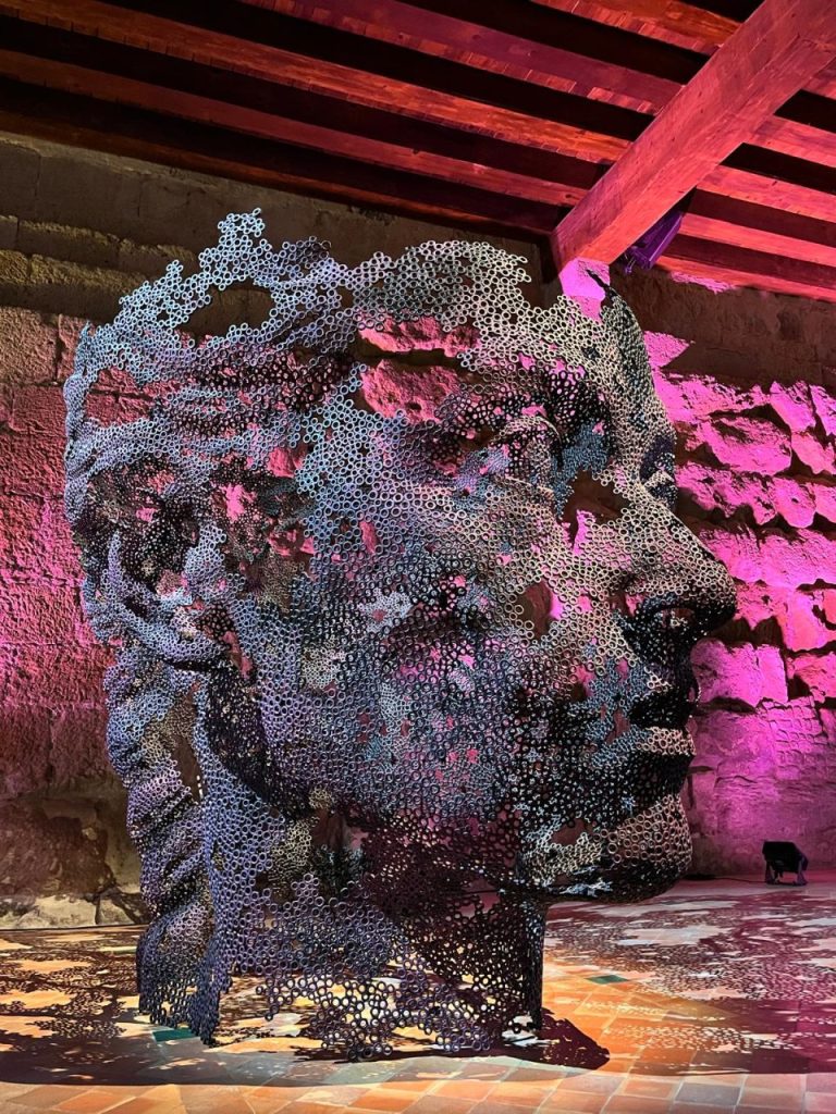 MARTI MORENO Ephemeros Expo Narbonne 2025 (61)