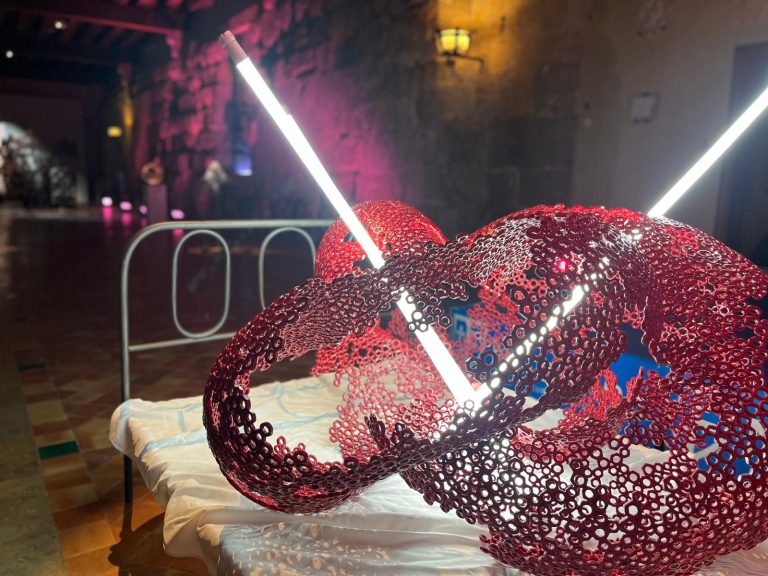 MARTI MORENO Ephemeros Expo Narbonne 2025 (94)