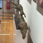 GAMBINO Ecureuils IAV TLS 2024 (7)