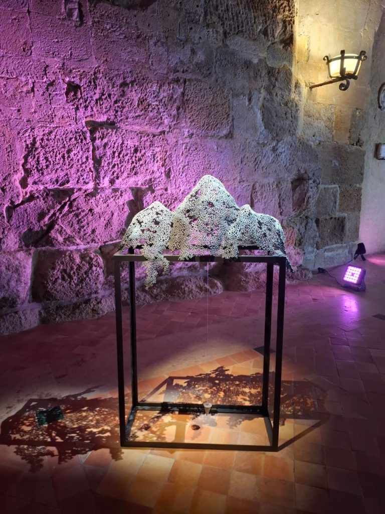 MARTI MORENO Ephemeros Expo Narbonne 2025 (21)