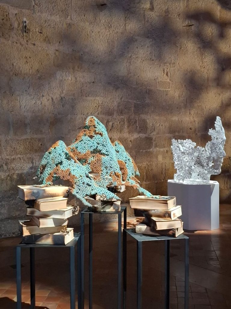 MARTI MORENO Ephemeros Expo Narbonne 2025 (26)