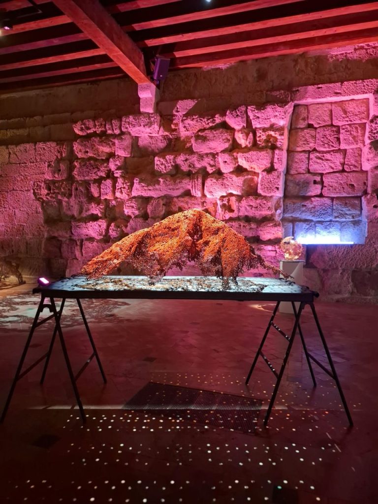 MARTI MORENO Ephemeros Expo Narbonne 2025 (47)