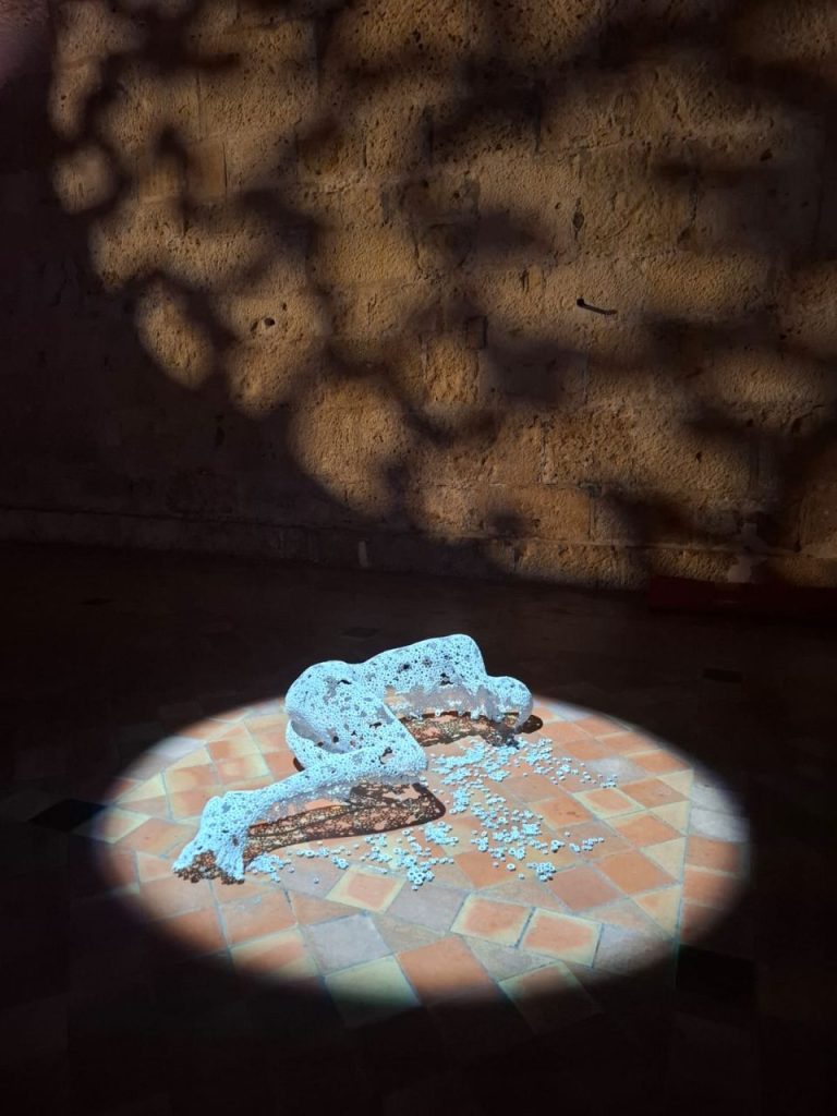 MARTI MORENO Ephemeros Expo Narbonne 2025 (49)