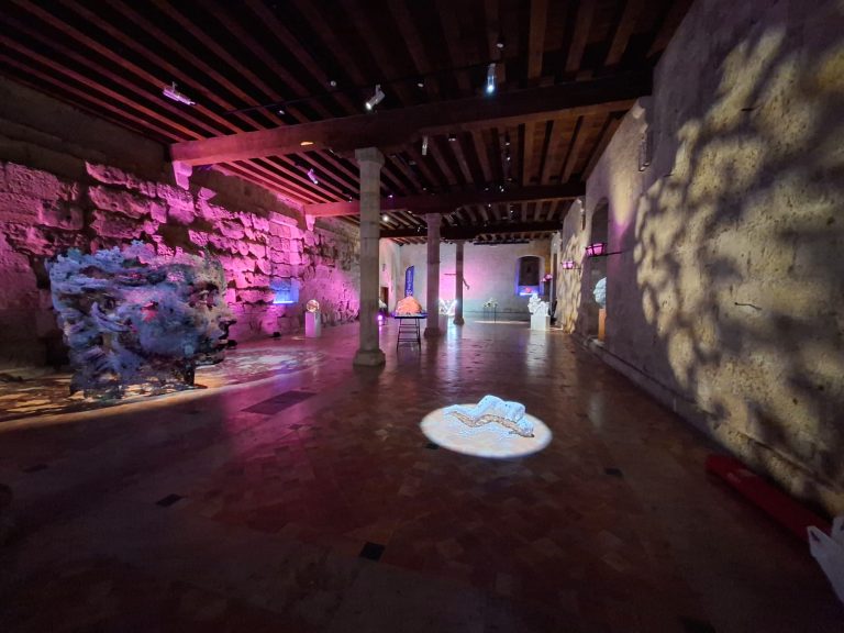 MARTI MORENO Ephemeros Expo Narbonne 2025 (56)