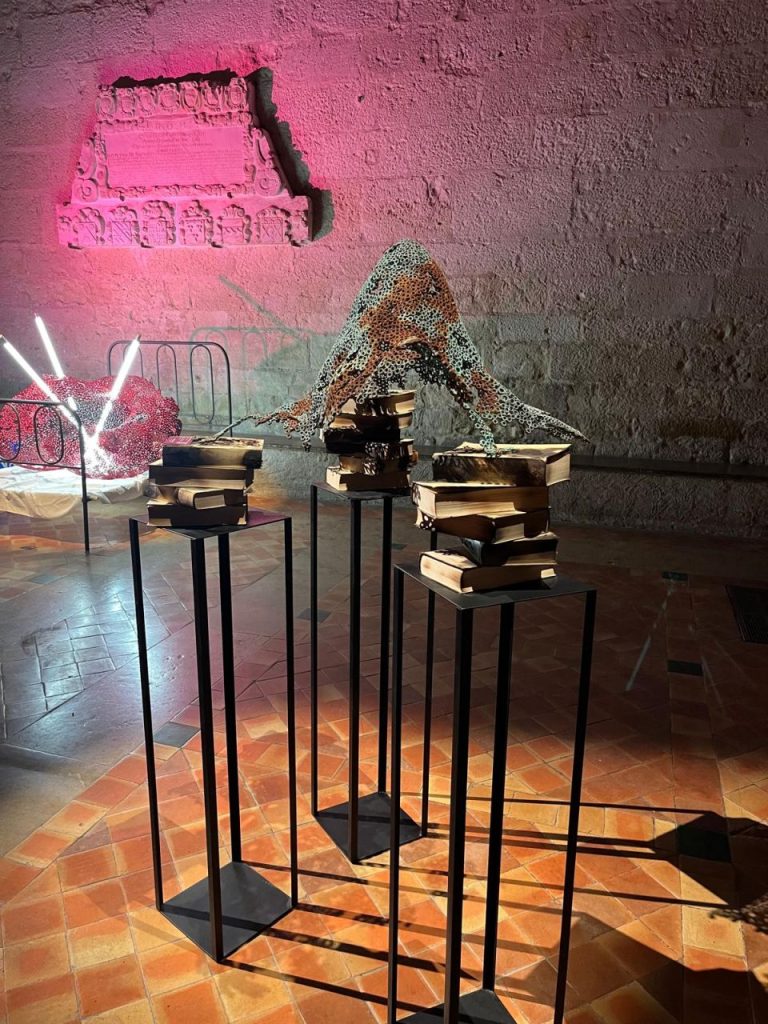 MARTI MORENO Ephemeros Expo Narbonne 2025 (72)