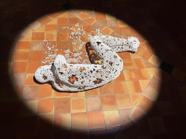 MARTI MORENO Ephemeros Expo Narbonne 2025 (74)