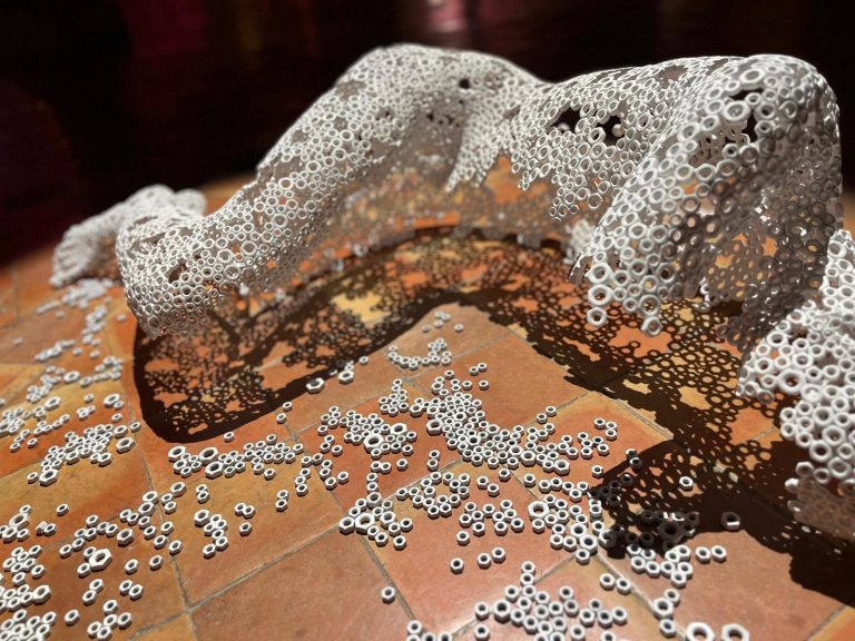 MARTI MORENO Ephemeros Expo Narbonne 2025 (77)