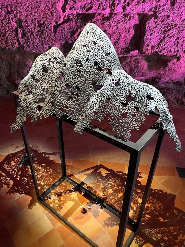 MARTI MORENO Ephemeros Expo Narbonne 2025 (84)