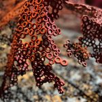 MARTI MORENO Ephemeros Expo Narbonne 2025 (98)