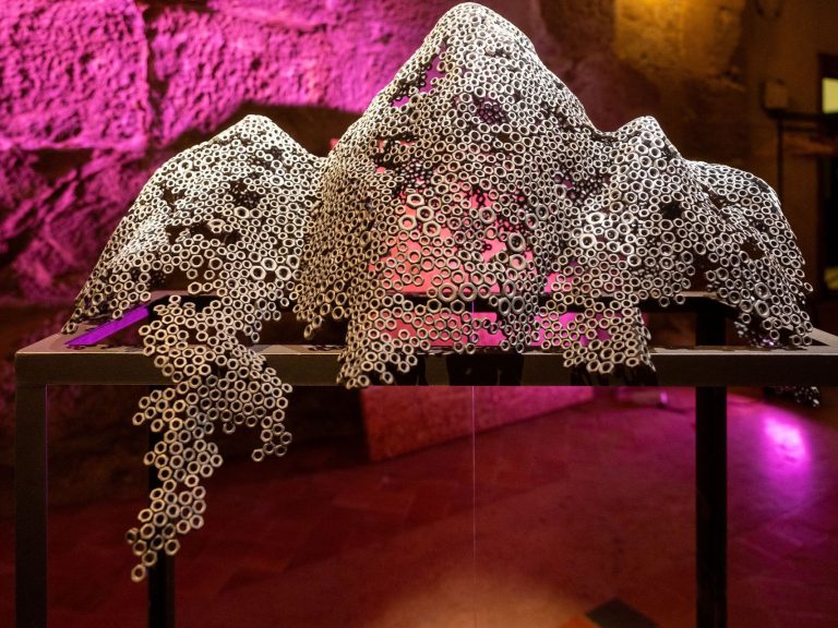 Mairie Narbonne0212504 MD