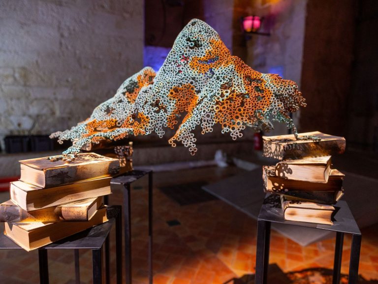 Mairie Narbonne0212571 MD