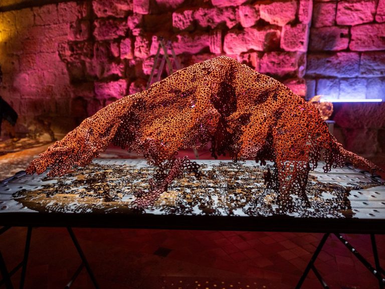 Mairie Narbonne0212578 MD