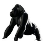 BASSOMPIERRE La Rencontre N°1a (242) Bronze (2)
