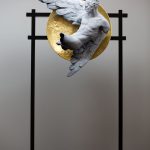 CODERCH & MALAVIA Alis Volat Propriis Con Disco (1)