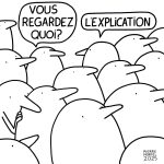 MORTEL Vous Regardez Quoi Digigraphie 70 X 70 Cm